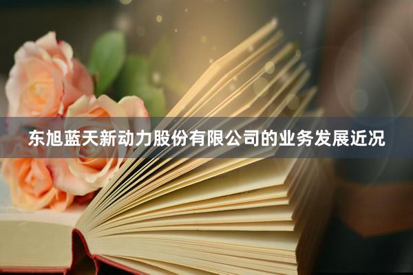 东旭蓝天新动力股份有限公司的业务发展近况