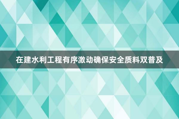 在建水利工程有序激动确保安全质料双普及